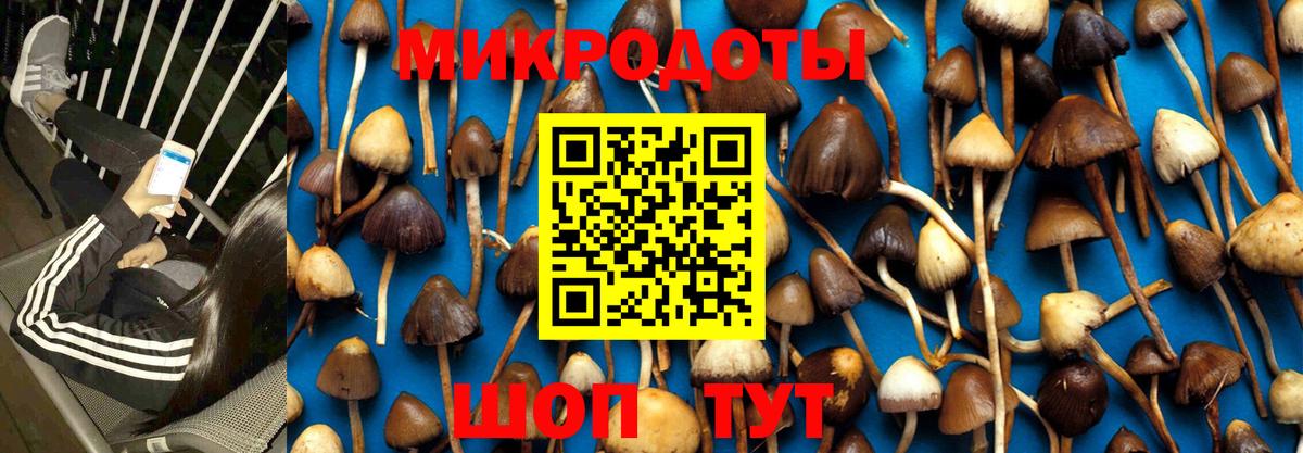 Дальнегорск  Псилоцибиновые грибы MAGIC MUSHROOMS  Вход с VPN 