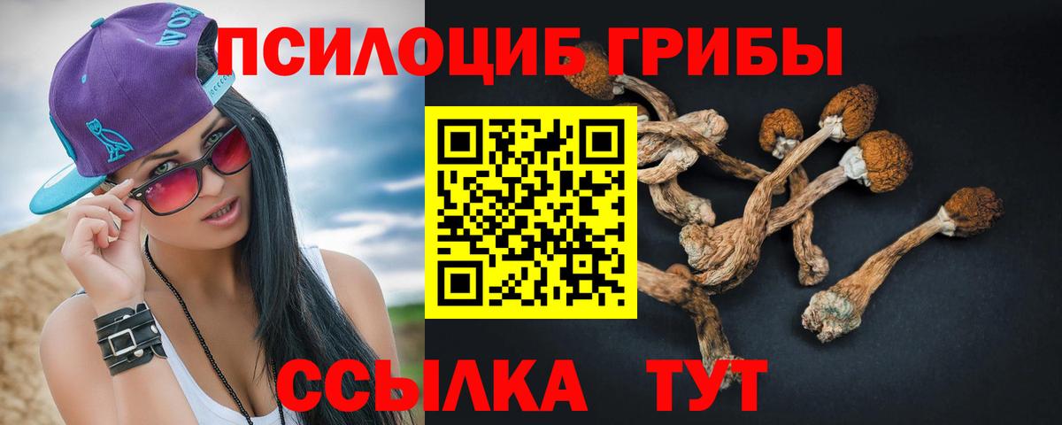 Псилоцибиновые грибы прущие грибы Дальнегорск